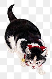 PNG Ohara Koson's Cat, pet animal illustration, transparent background. Remixed by rawpixel.