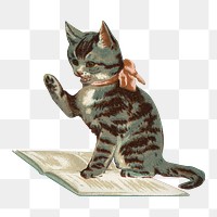 PNG Little kitten, vintage pet animal illustration, transparent background. Remixed by rawpixel.