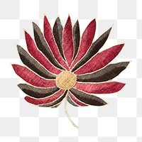 PNG Black & red flower, vintage botanical illustration, transparent background. Remixed by rawpixel.