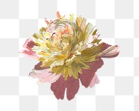 PNG Peony flower, vintage botanical illustration, transparent background. Remixed by rawpixel.