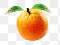 Orange fruit png collage element, transparent background