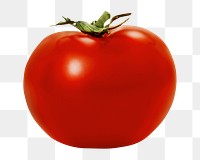 Tomato png collage element, transparent background