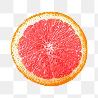 Orange slice png, food element, transparent background