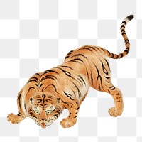 Tiger  png woodblock print, transparent background. Remixed by rawpixel. 