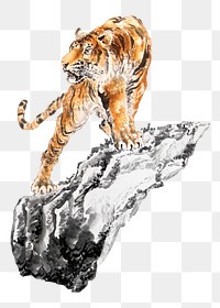 Tiger  png woodblock print, transparent background. Remixed by rawpixel. 