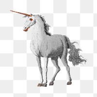 Unicorn png vintage illustration, transparent background. Remixed by rawpixel. 