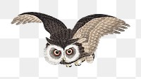 Owl png woodblock print, transparent background. Remixed by rawpixel. 