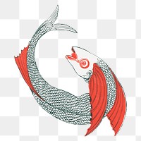 Vintage fish png chromolithograph art, transparent background. Remixed by rawpixel. 