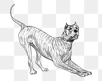 Dog png chromolithograph art, transparent background. Remixed by rawpixel. 