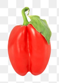 Red bell pepper png, transparent background