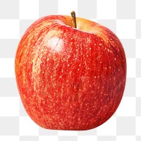 Fresh red apple png, transparent background