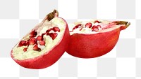 Fall pomegranate png, transparent background