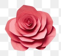 PNG Rose flower plant paper art. 