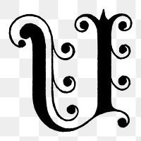 U letter PNG, 12th-century calligraphy font, transparent background