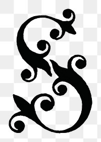 S letter PNG, 17th-century calligraphy font, transparent background