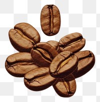 PNG Coffee bean coffee beans accessories freshness. AI generated Image by rawpixel.