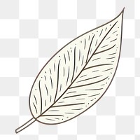 PNG Leaf drawing plant pattern. AI generated Image by rawpixel.