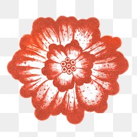 Orange flower png sticker, Chinese aesthetic vintage illustration, transparent background