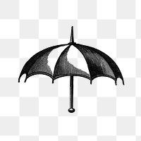 PNG Vintage European style umbrella engraving, transparent background