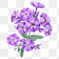 Purple flower sticker png, watercolor & botanical illustration, transparent background