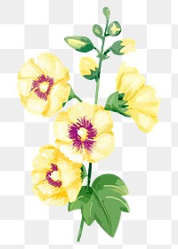 Yellow flower sticker png on transparent background