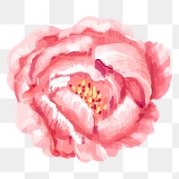 Pink flower sticker png on transparent background