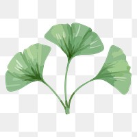 Ginkgo leaf sticker png, watercolor green graphic on transparent background