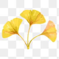 Ginkgo leaf sticker png, watercolor yellow graphic on transparent background