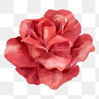 Rose clipart png, watercolor & floral design, transparent background