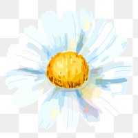 Daisy flower sticker png, on transparent background