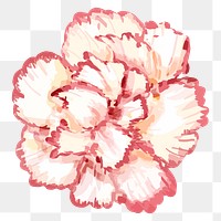 Pink flower sticker png on transparent background