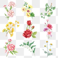 Flower sticker png on transparent background set