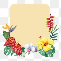 Flower frame png, botanical watercolor illustration, transparent background