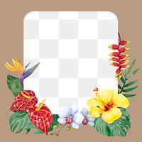 Aesthetic flower png frame, floral design on transparent background