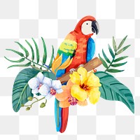 Parrot png sticker, botanical bird illustration, transparent background