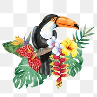 Toucan png sticker, botanical bird illustration, transparent background