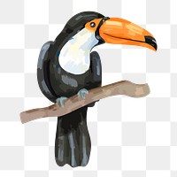 Toucan bird sticker png, watercolor animal illustration on transparent background 