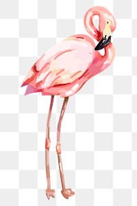 Pink flamingo png sticker, watercolor illustration, transparent background