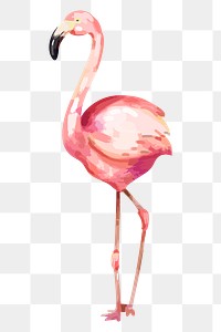 Pink flamingo png sticker, watercolor illustration, transparent background