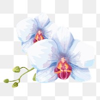 White flower sticker png on transparent background