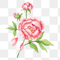 Pink flower sticker clipart, floral illustration on transparent background