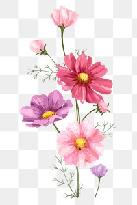 Daisy flower sticker png on transparent background