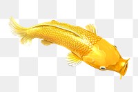 Gold Koi fish png sticker, Japanese traditional animal on transparent background