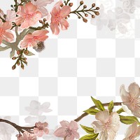 Cherry blossom png transparent background, flower border 