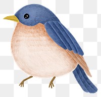 Winter blue bird animal png sticker drawing