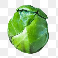 Png Brussels sprout sticker, food photography, transparent background