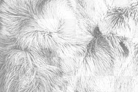 Animal fur png overlay texture, abstract design on transparent background