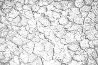 Cracked ground png overlay texture, abstract design on transparent background