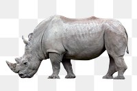 White rhinoceros png clipart, wildlife, transparent background