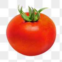 Red tomato png clipart, vegetable, organic ingredient